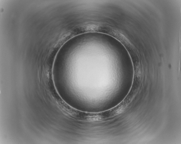 X0000076050363200609291014