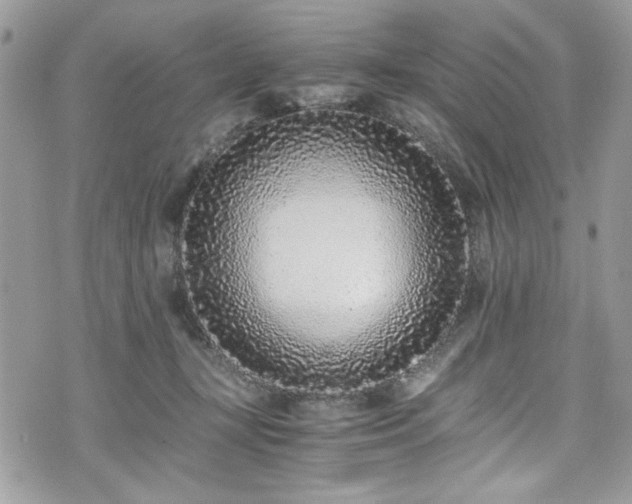 X0000076050367200609291014
