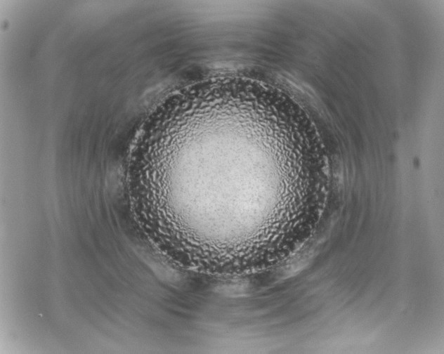 X0000076050369200609291014