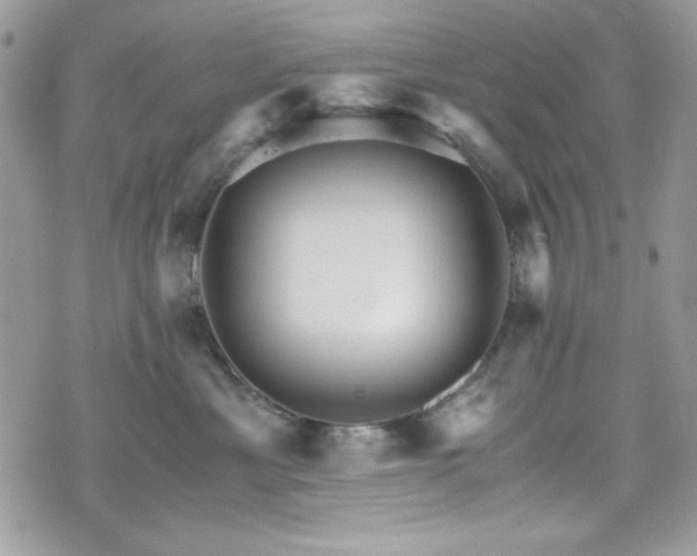 X0000076050429200609291013