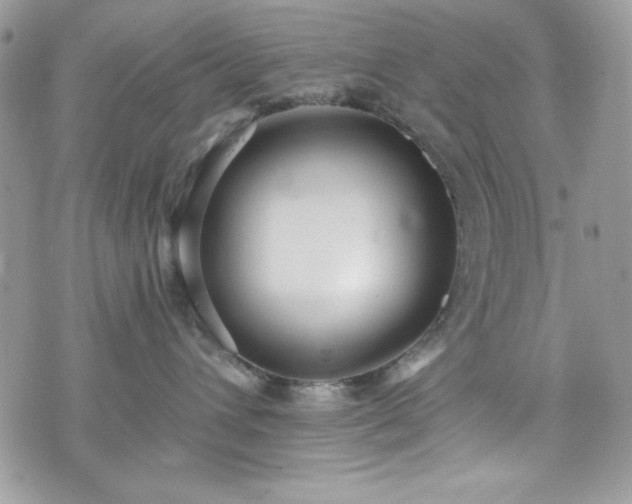 X0000076050432200609291013