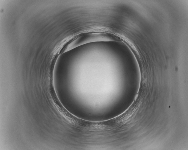 X0000076050437200609291012