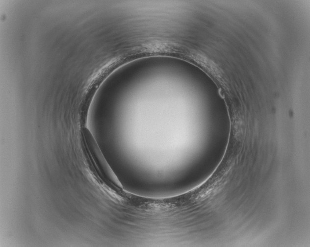 X0000076050442200609291013