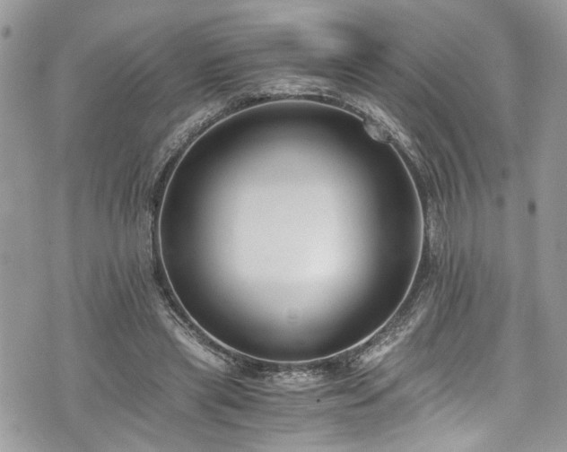 X0000076050445200609291013