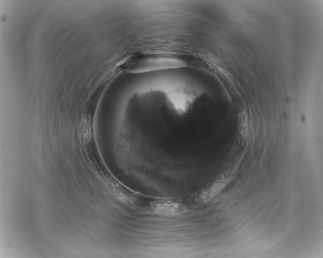 X0000076050471200609291013