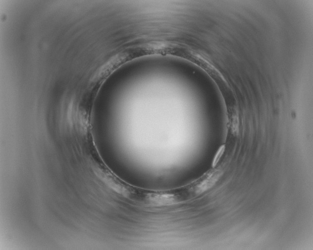 X0000076050476200609291013