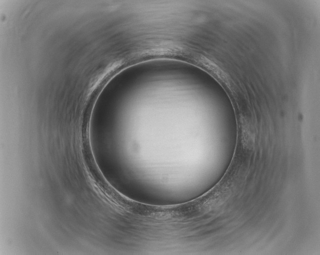 X0000076050482200609291012
