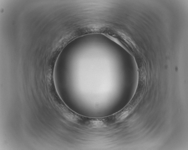 X0000076050509200609291012
