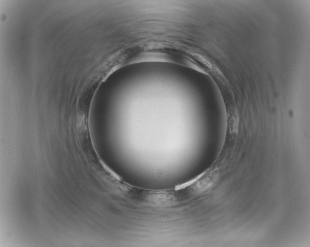 X0000076050521200609291012