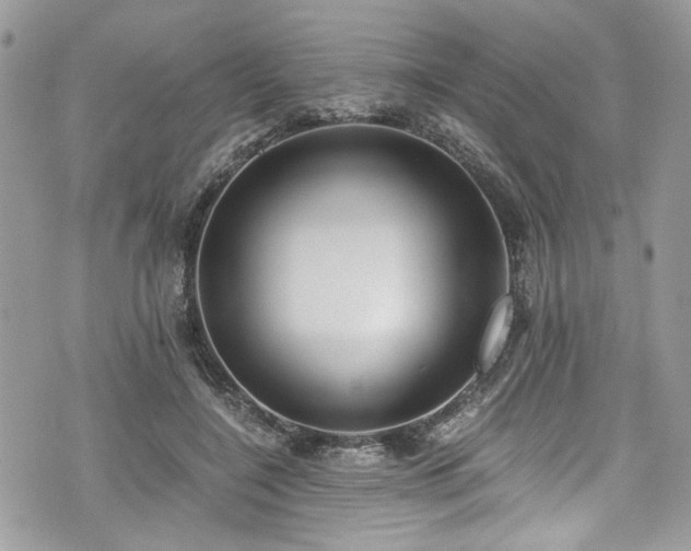 X0000076050548200609291011