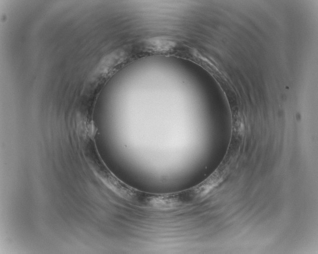X0000076050568200609291011