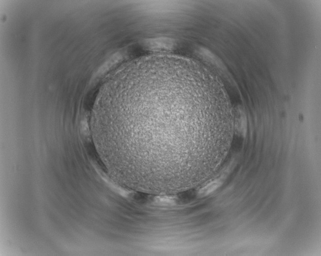X0000076050573200609291012