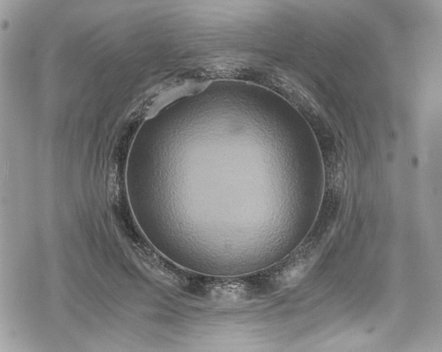 X0000076050599200609291010