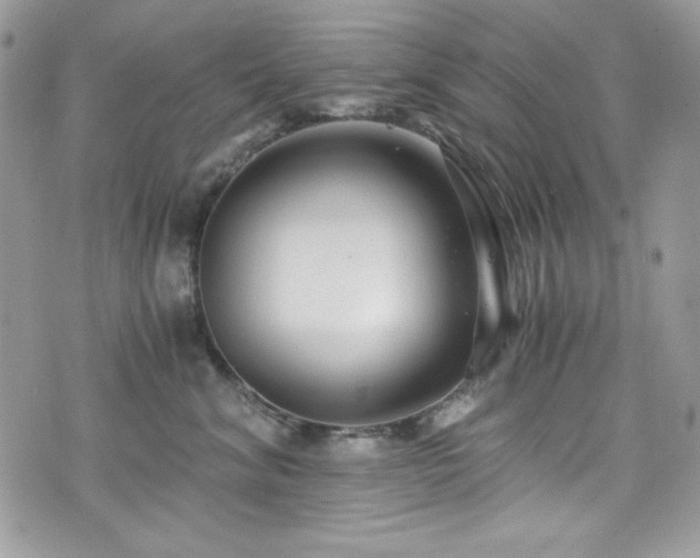 X0000076050620200609291010