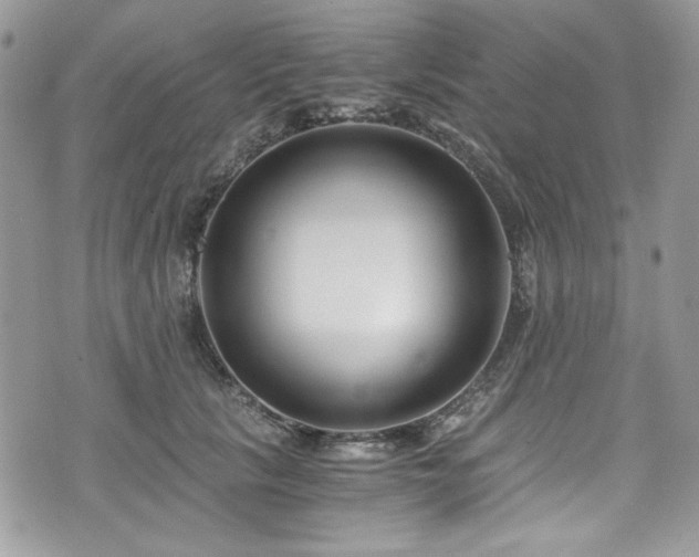 X0000076050657200609291010