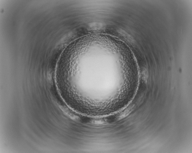 X0000076050662200609291010