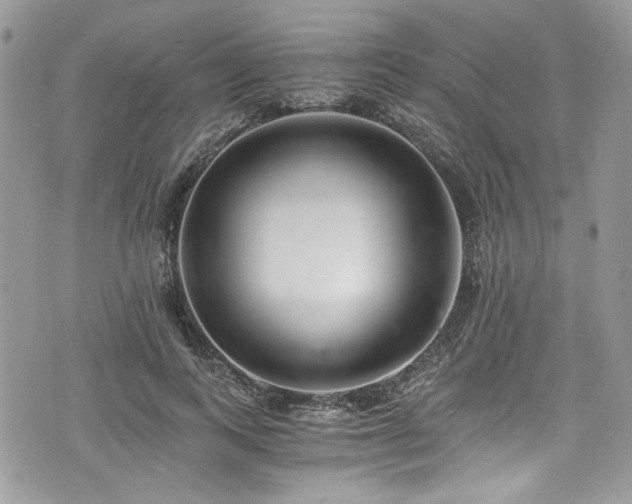 X0000076050743200609291008