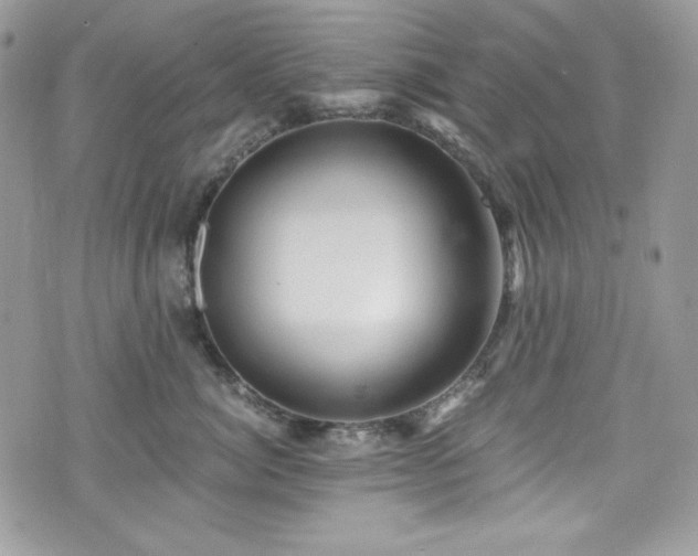 X0000076050764200609291008