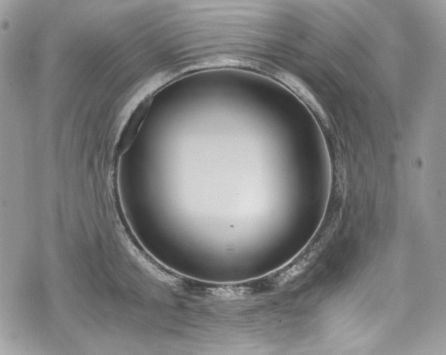 X0000076050805200609291007