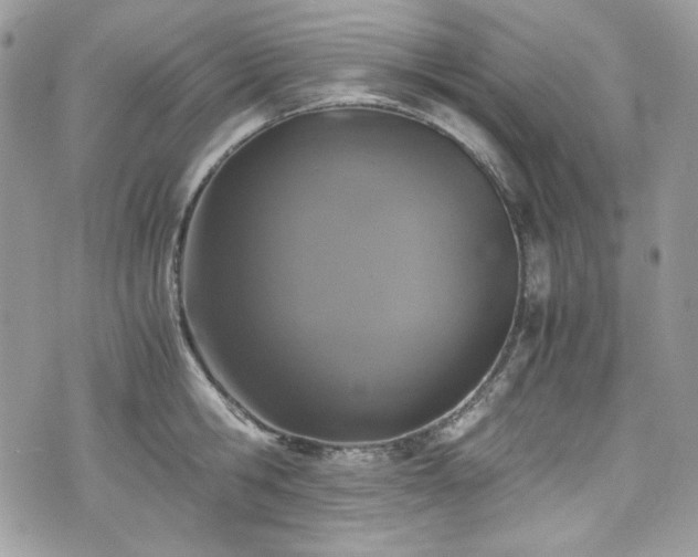 X0000076050806200609291007