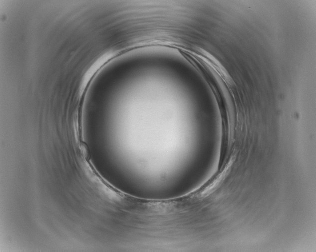 X0000076050812200609291007