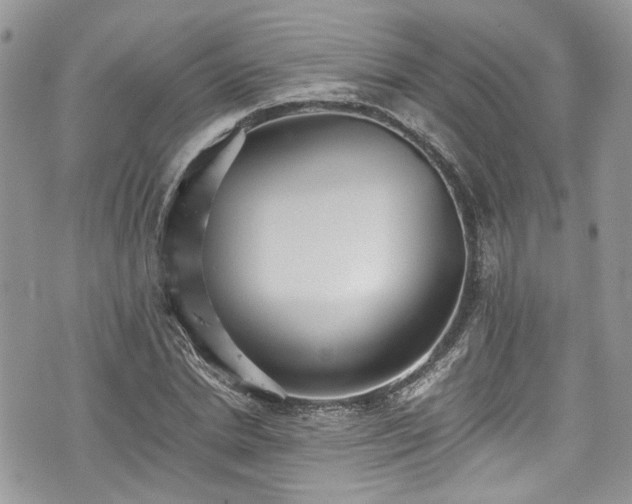 X0000076050830200609291006