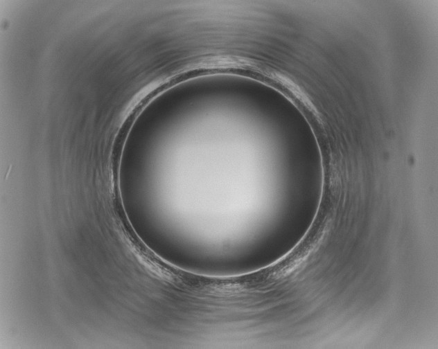 X0000076050837200609291006
