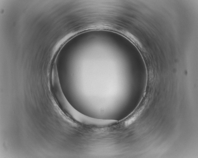 X0000076050854200609291007