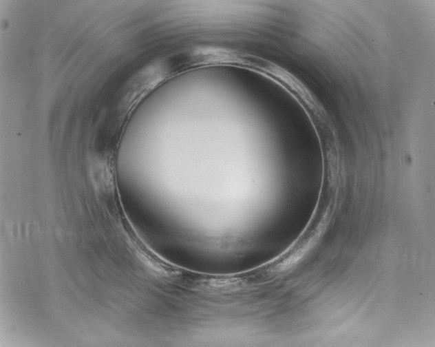 X0000076050857200609291007