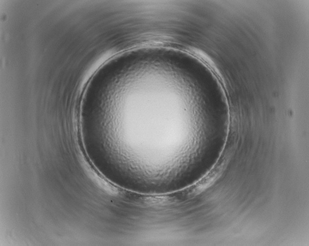 X0000076050859200609291007