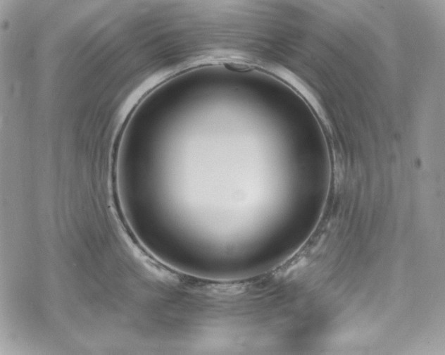 X0000076050861200609291007