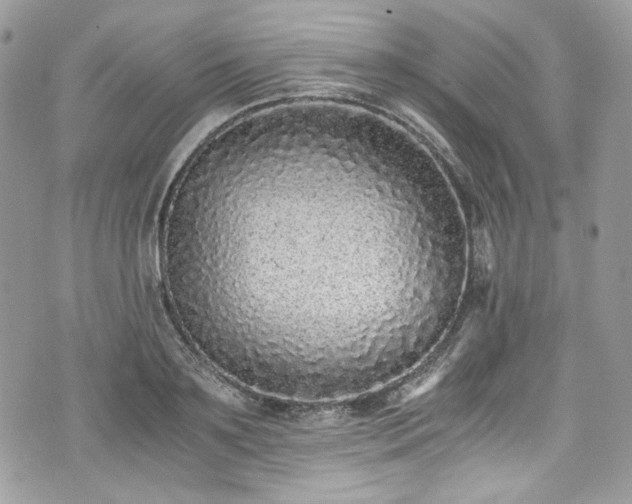 X0000076050891200609291006