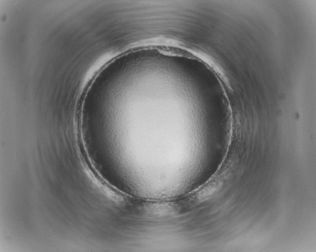 X0000076050998200609291004