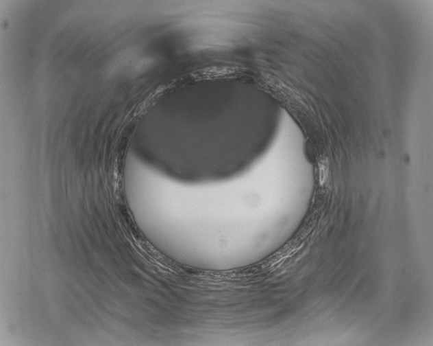 X0000076051011200609291003