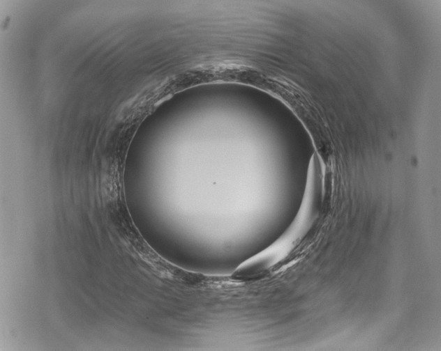 X0000076051014200609291003