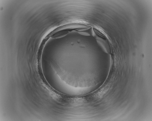 X0000076051024200609291003