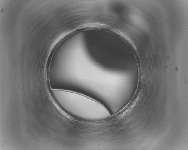 X0000076051037200609291003
