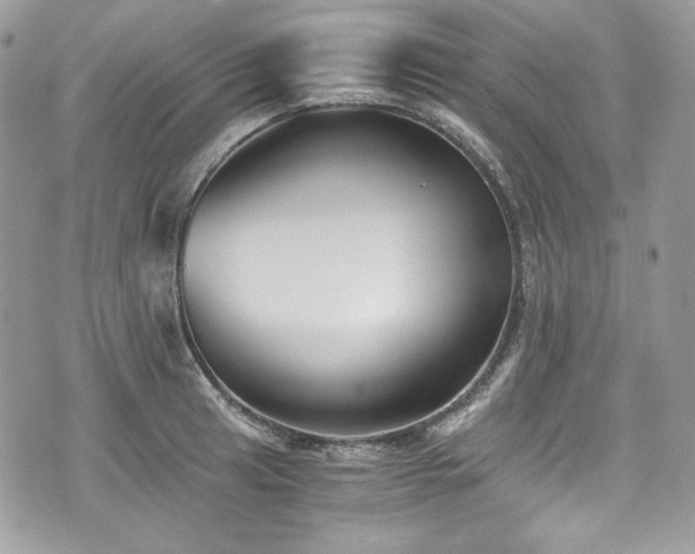 X0000076051041200609291004