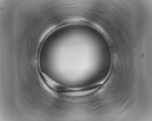 X0000076051042200609291004