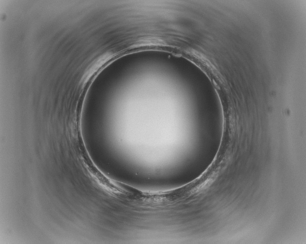 X0000076051129200609291002
