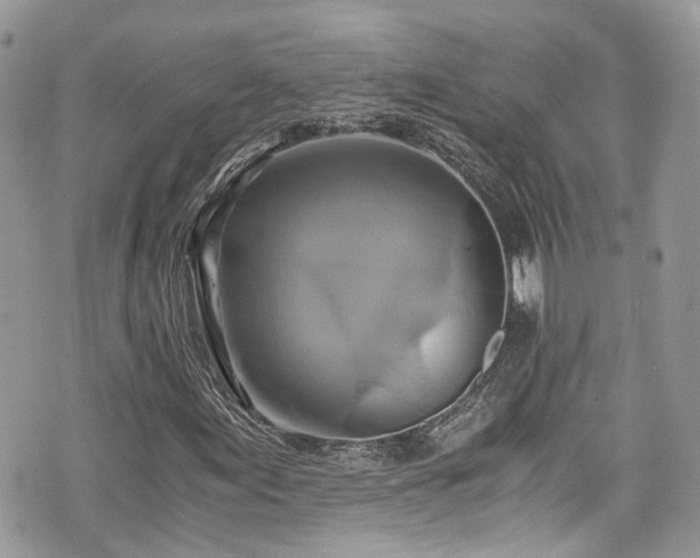 X0000076051155200609291001