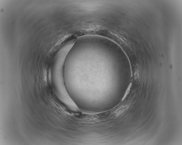 X0000076051156200609291001