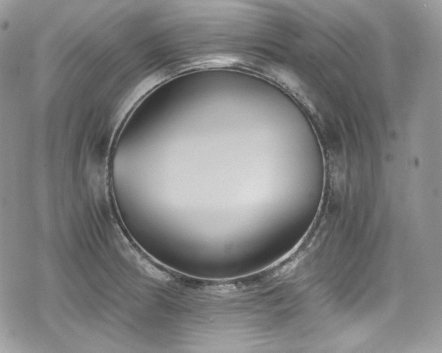 X0000076051186200609291001