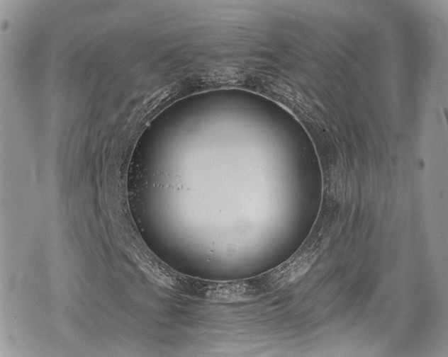 X0000076051201200609291000