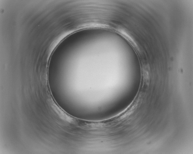 X0000076051244200609291001