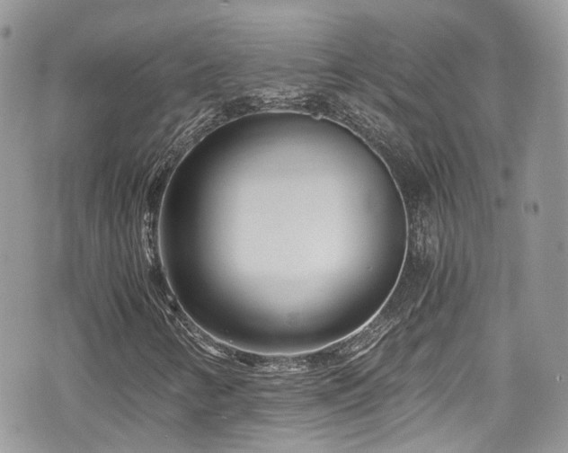 X0000076051346200609290958
