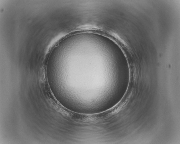 X0000076051358200609290958