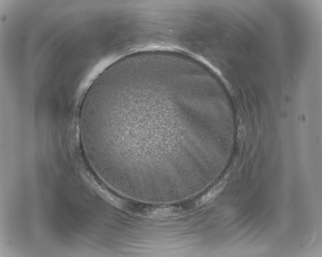 X0000076051367200609290958