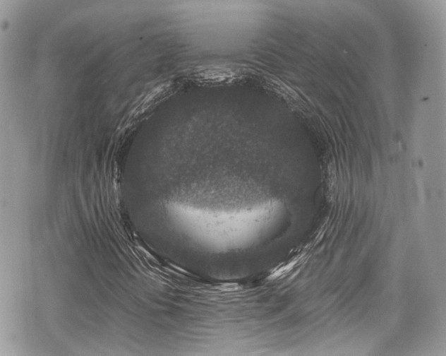 X0000076051394200609290957