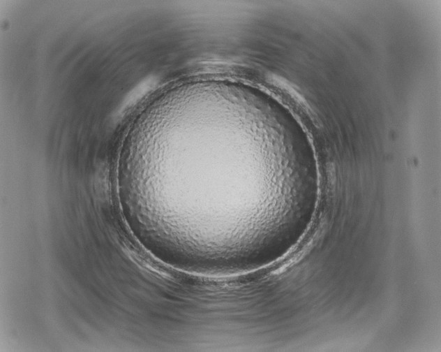 X0000076051403200609290957